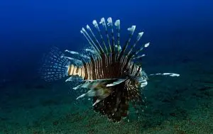 a9862872-3880-4bd0-a47f-ea5309f09320