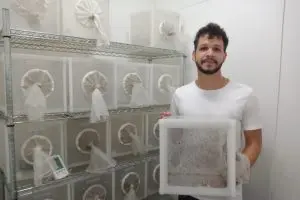 d22d212025653bae58464264e35f3c99_16835511489087_311961074