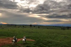 038_RT221109-768x511