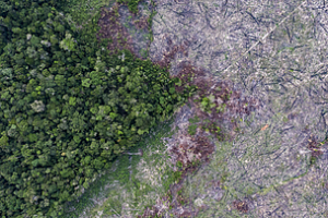 microsoftteams_image__52___3__1_125305