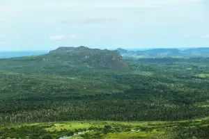 img20210611163616728-768x512