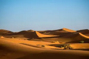 Dia Mundial do Combate à Seca e à Desertificação