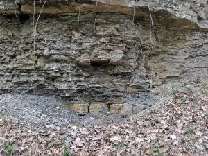 sucessão-de-folhelho