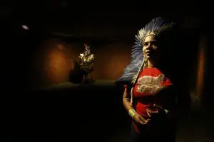 conhecimento indígena