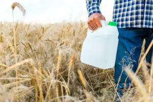 cloreto-de-clormequat-clormequato