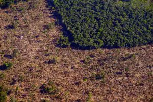 desmatamento-na-Amazônia