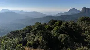 Área de Mata Atlântica preservada