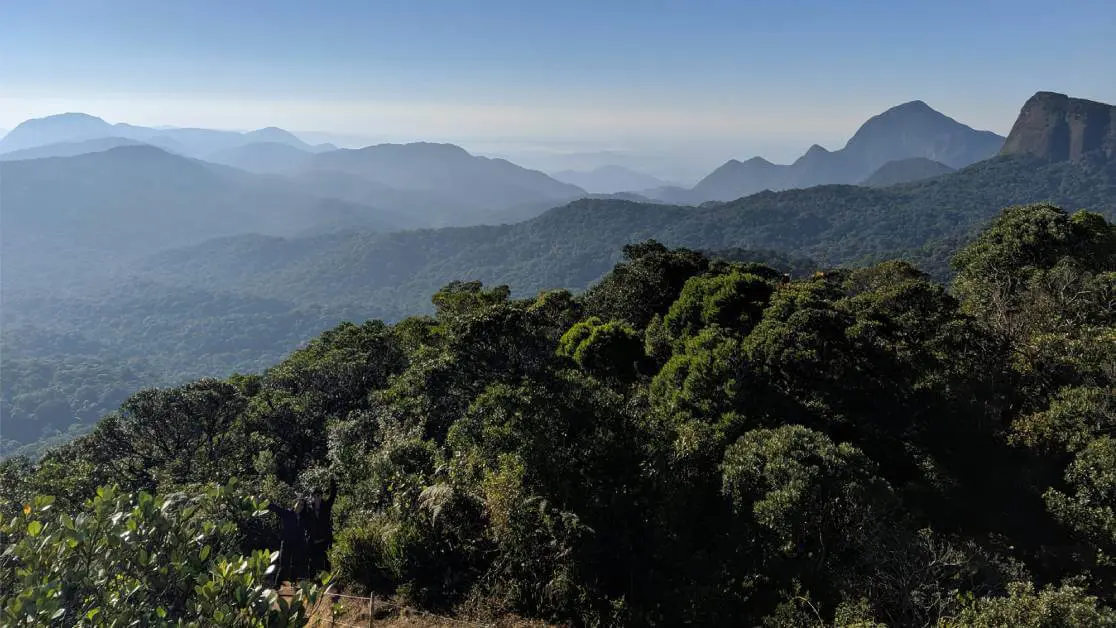Área de Mata Atlântica preservada