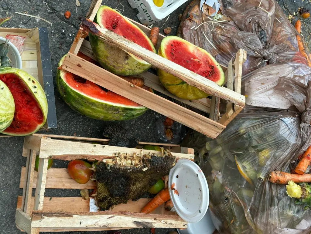 Restos de melancia e outros resíduos alimentares misturados, descartados ao ar livre, simbolizando o desperdício e o descarte incorreto dos resíduos orgânicos.