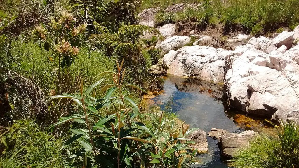 Nascente formada pelo lençol freático chegando à superfície.