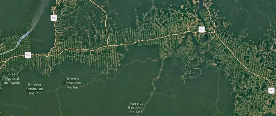 Desmatamento espinha de peixe em um trecho da Transamazônica (BR-230), no Pará.