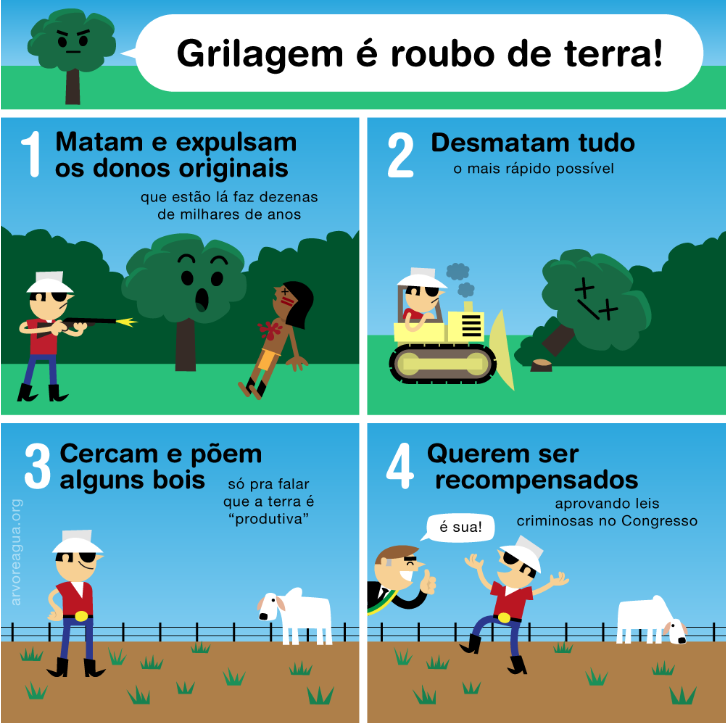 O ciclo da grilagem em terras brasileiras está diretamente ligado ao desmatamento espinha de peixe.